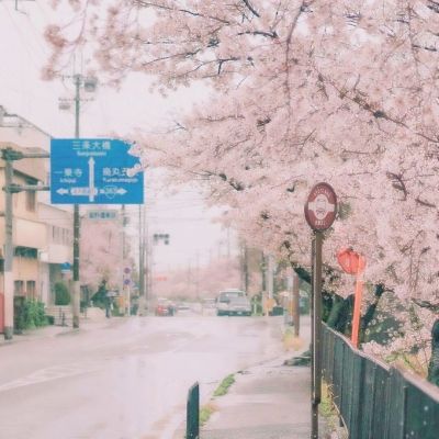 北半球的象限仪流星雨