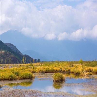 丰富数字化应用场景 提升乡村文化软实力